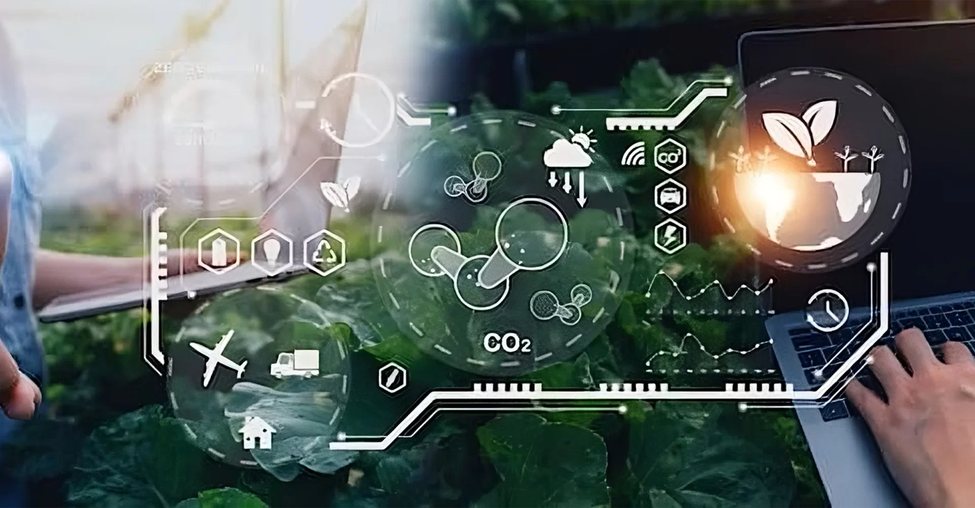 Bethel Trading Solutions greenhouse